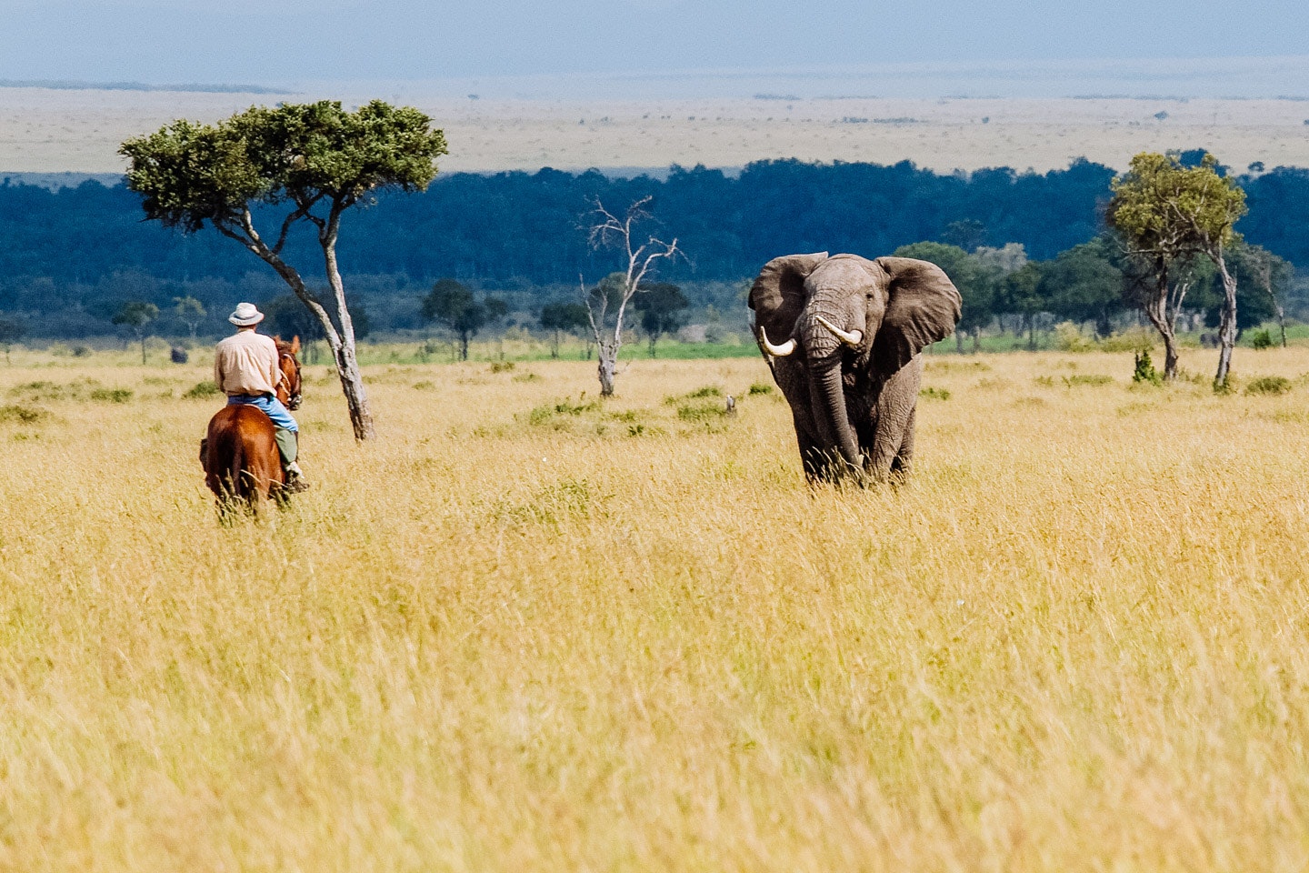is it safe to travel to kenya 2018 kenya safari